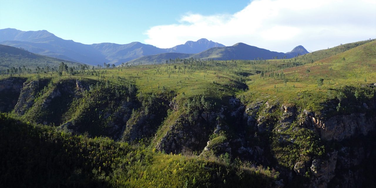 Day 2 Tsitsikamma Trail 10 June