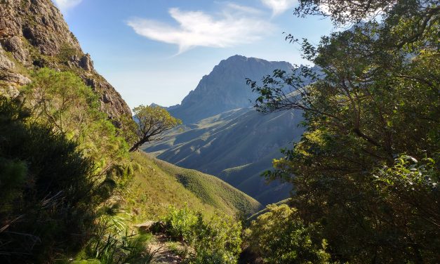 Panorama Trail (via waterfall) – Jonkershoek Nature Reserve