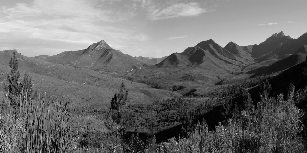 Day 4 Tsitsikamma Trail 12 June