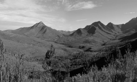 Day 4 Tsitsikamma Trail 12 June