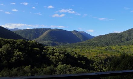 Day 5 Tsitsikamma Trail 13 June
