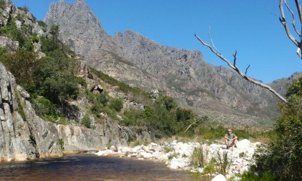 Scherpenheuwel Circuit – clockwise (Franschhoek Conservation Area)