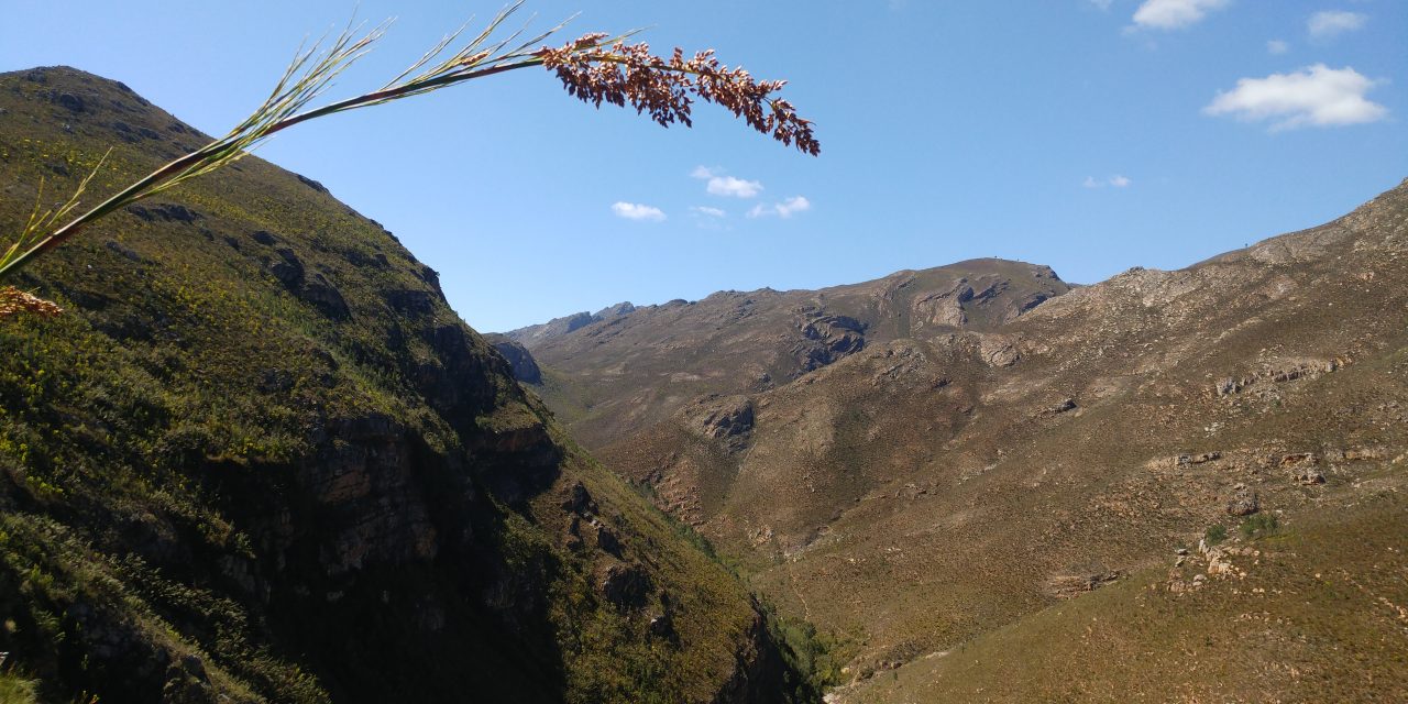 McGregor to Greyton trail