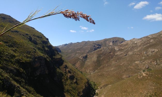 McGregor to Greyton trail