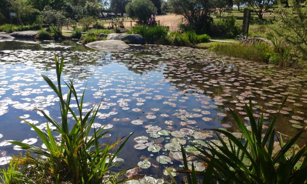 Paarl Rock MTB November