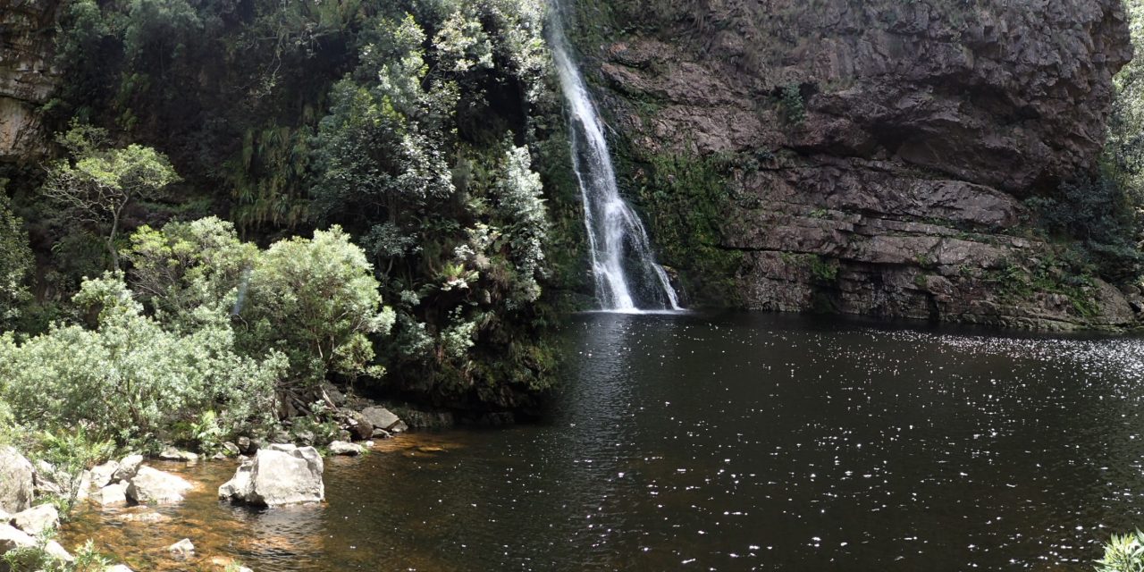 Krom River Hike (Spring Flowers)