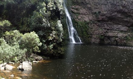 Krom River Hike (Spring Flowers)