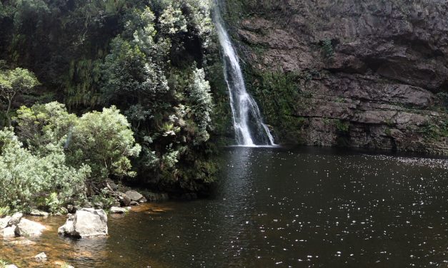 Krom River Hike (Spring Flowers)