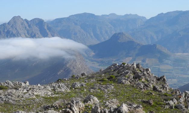 Perdekop – Mt Rochelle Reserve