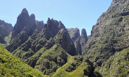 Assegaaiboskloof Trail