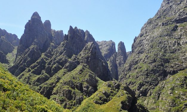 Assegaaiboskloof Trail