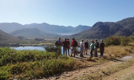 Berg Dam loop (South side)