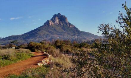 Banhoek – waterfall and contour path